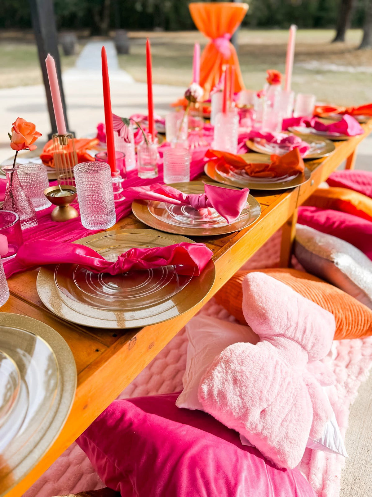 Picnic setup